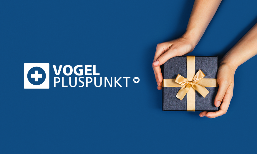 Geschenk in den Händen vor blauen Hintergrund