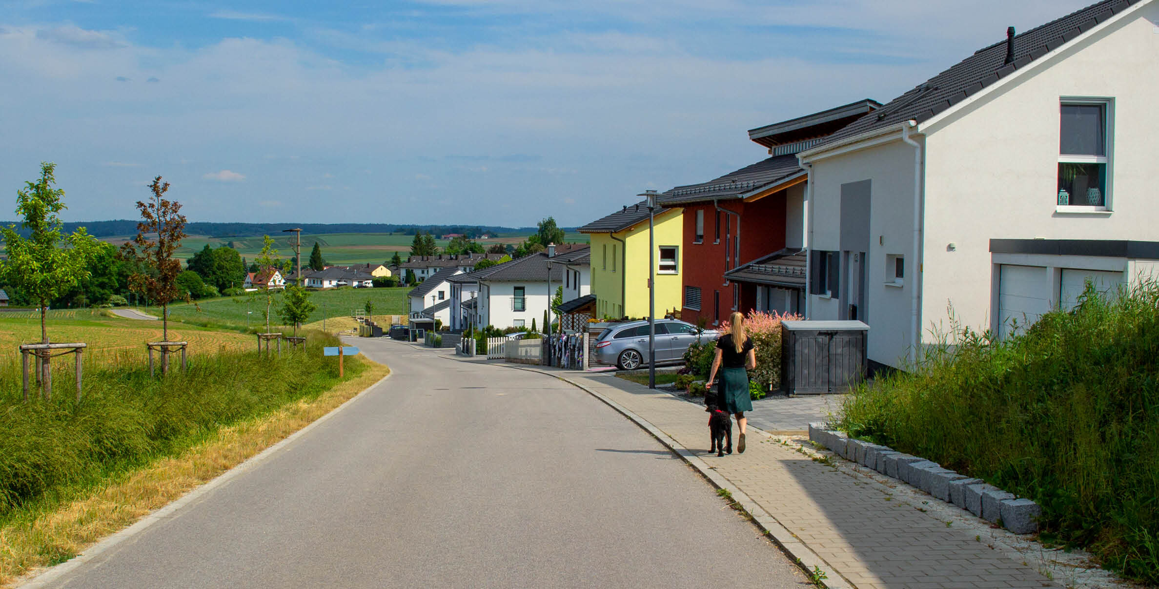 Der Hund reißt sich von Leine los und rennt auf die Straße