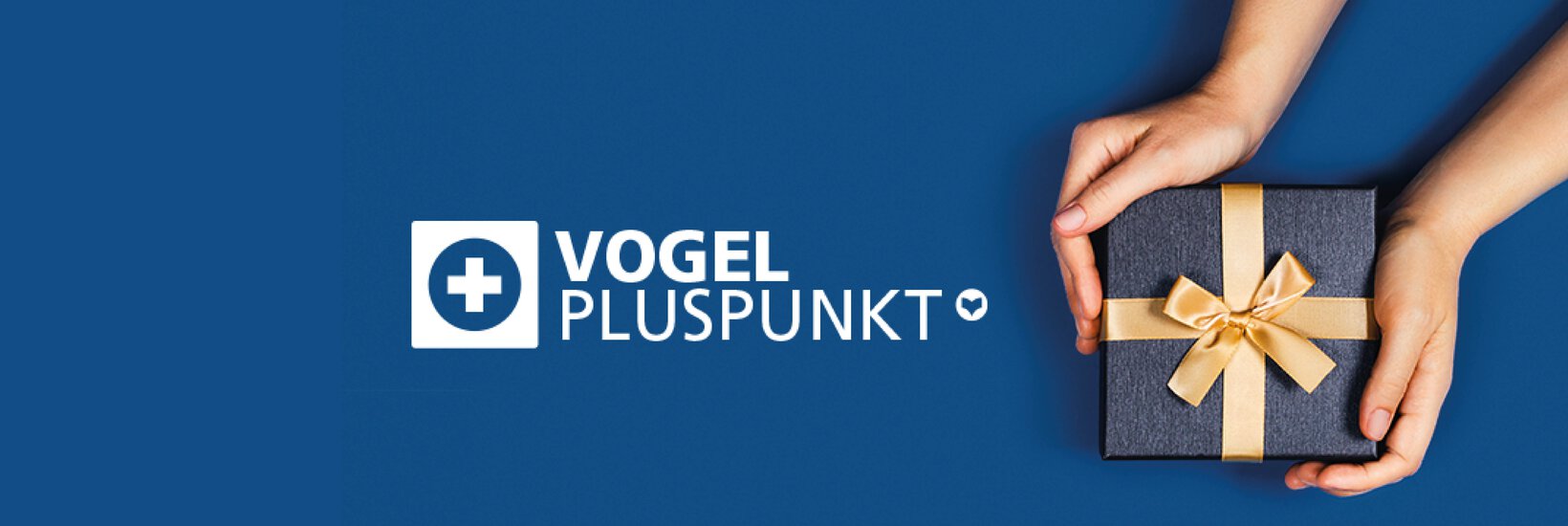 Vogel Pluspunkt Logo und ein Geschenk auf blauem Hintergrund