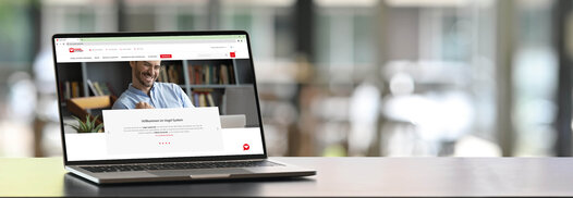 Vogel-system.de in Laptop