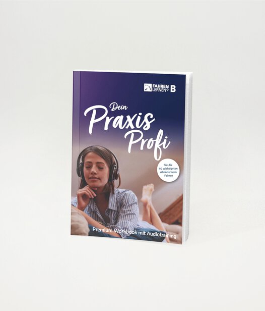 Führerschein Workbook Praxis-Profi inklusive Audiotraining für die 40 wichtigsten Abläufe beim Fahren