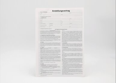 Fahrlehreranstellungsvertrag_17657